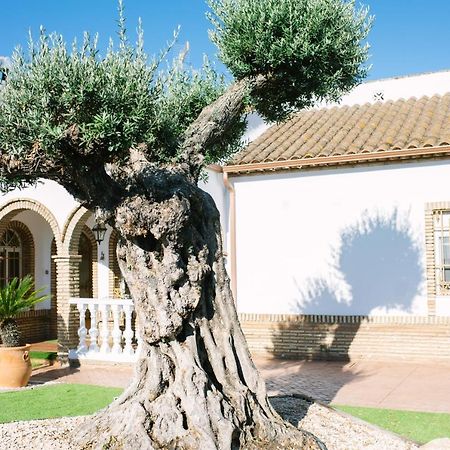 Casa Luxury "El Olivo De Cordoba" Con Jacuzzi Y Parking Privado ξενώνας Εξωτερικό φωτογραφία