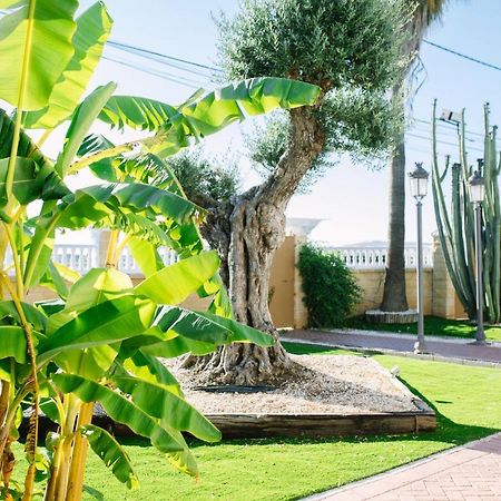 Casa Luxury "El Olivo De Cordoba" Con Jacuzzi Y Parking Privado ξενώνας Εξωτερικό φωτογραφία