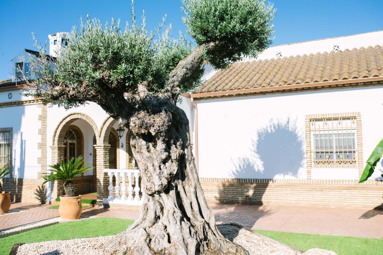 Casa Luxury "El Olivo De Cordoba" Con Jacuzzi Y Parking Privado ξενώνας Εξωτερικό φωτογραφία