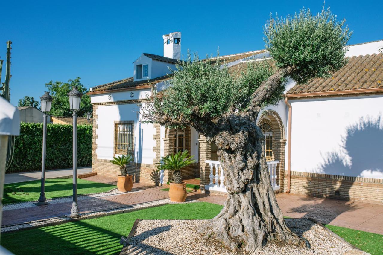 Casa Luxury "El Olivo De Cordoba" Con Jacuzzi Y Parking Privado ξενώνας Εξωτερικό φωτογραφία