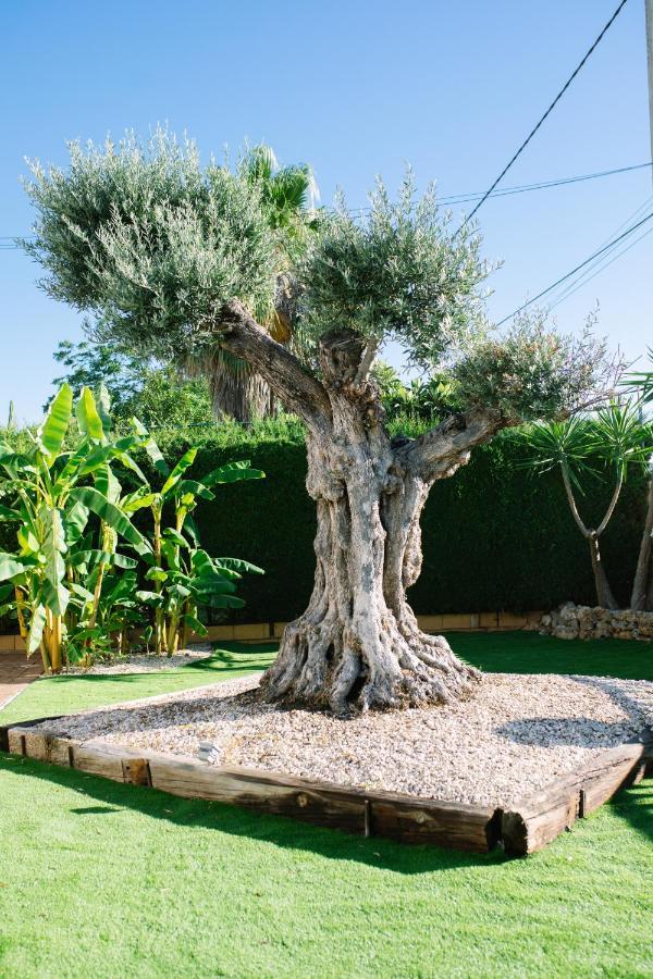 Casa Luxury "El Olivo De Cordoba" Con Jacuzzi Y Parking Privado ξενώνας Εξωτερικό φωτογραφία